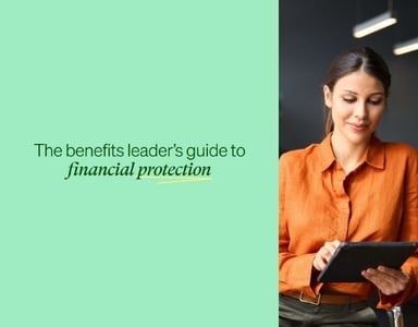 Image for The benefits leader's guide to financial protection